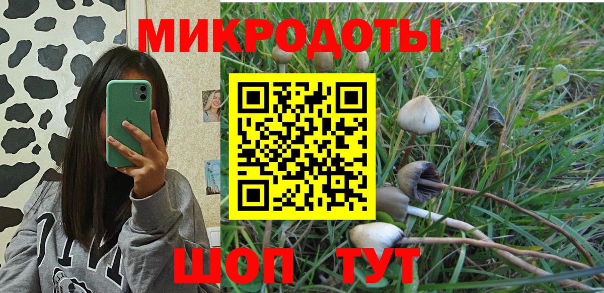 Галлюциногенные грибы GOLDEN TEACHER Кострома